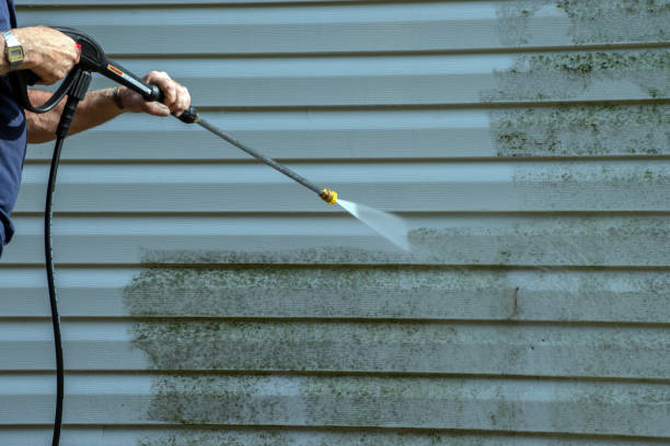 Best Driveway Pressure Washing  in Pacifi, CA
